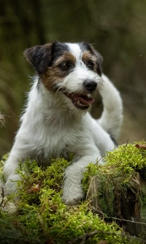 01b7660a-dab1-4f42-a82b-5148768436c0